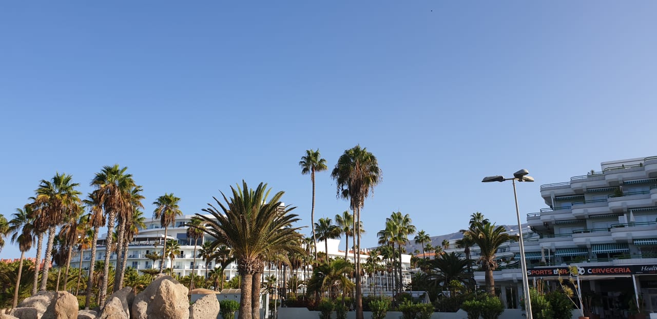 Außenansicht Hotel Riu Arecas - Adults only