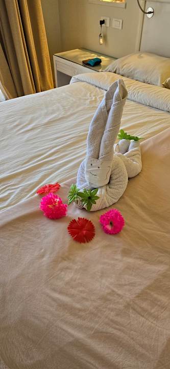 Zimmer Makadi Spa - Adults only