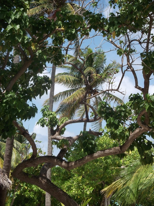 Traumhaft Kuredu Island Resort & Spa