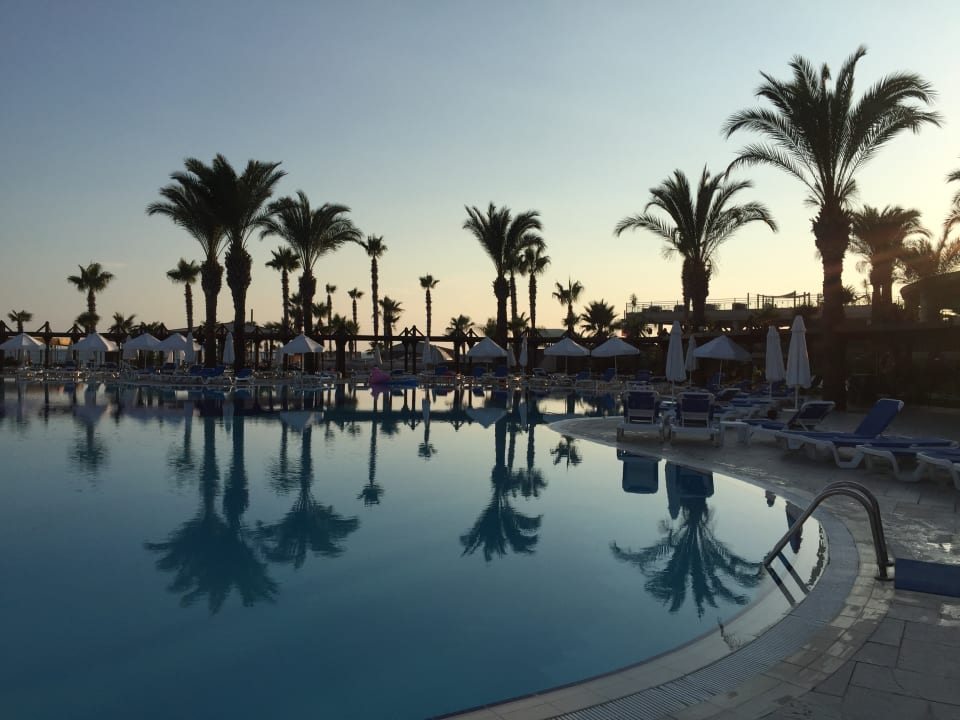 Pool TUI BLUE Palm Garden