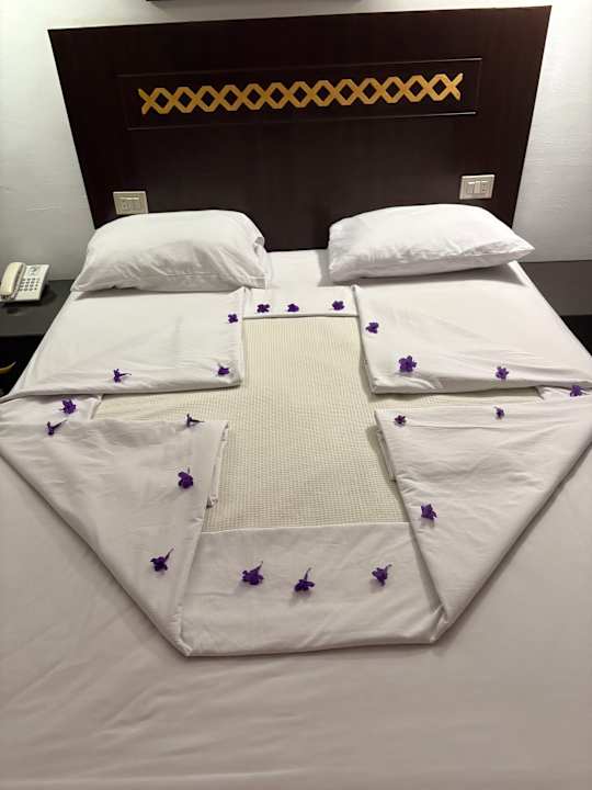 Zimmer Menaville Safaga