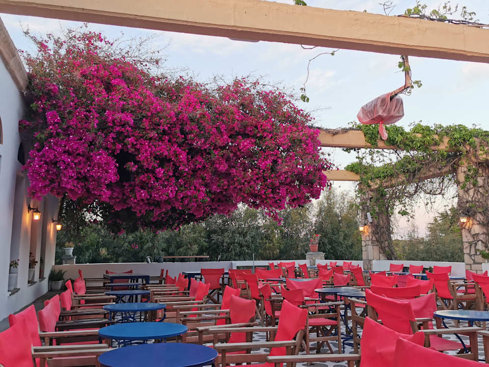 Gastro Ekaterini Hotel