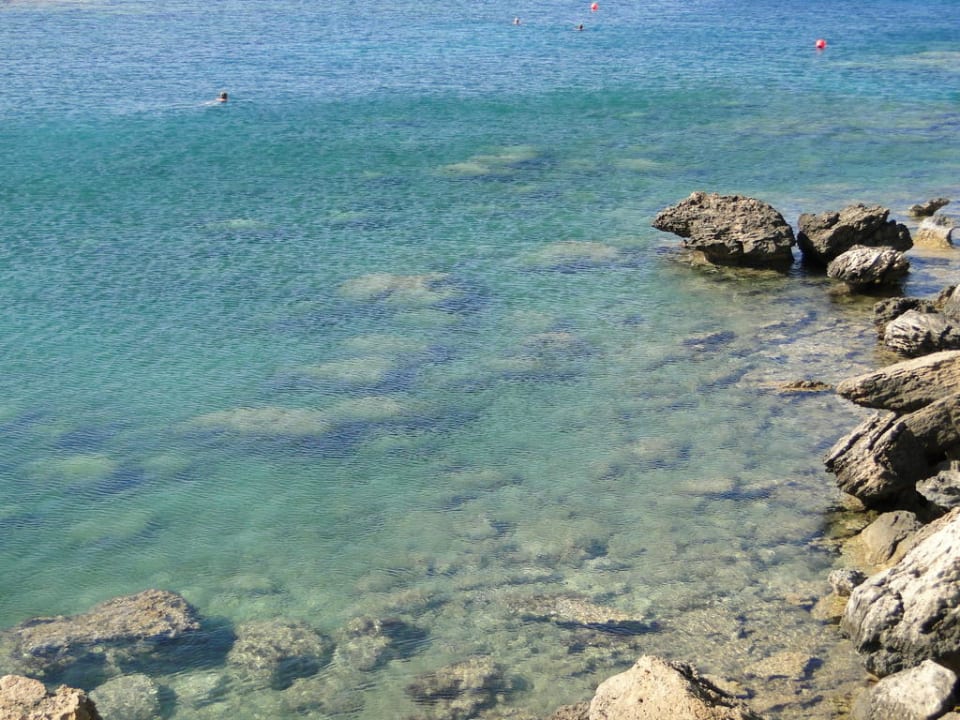 Crystal Springs Beach Hotel Crystal Springs Beach Hotel