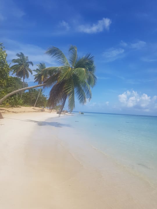 Traumstrand Bahia Principe Grand El Portillo