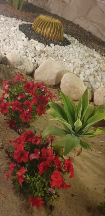 Gartenanlage Jaz Soma Beach