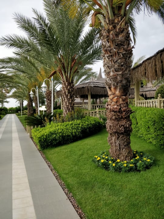 Gartenanlage Royal Holiday Palace