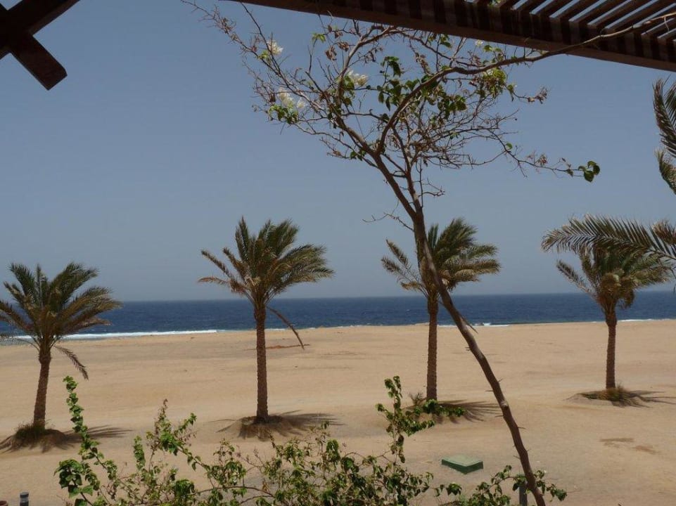 Blick aus dem Zimmer / Balkon Steigenberger Coraya Beach - Adults only