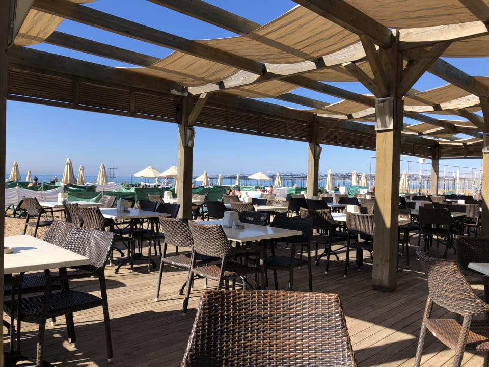 Gastro Sentido Trendy Verbena Beach