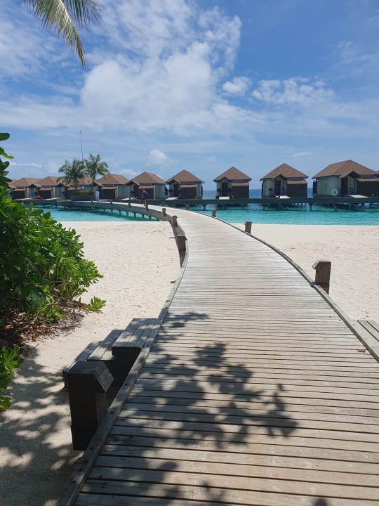 Zimmer Reethi Faru Resort