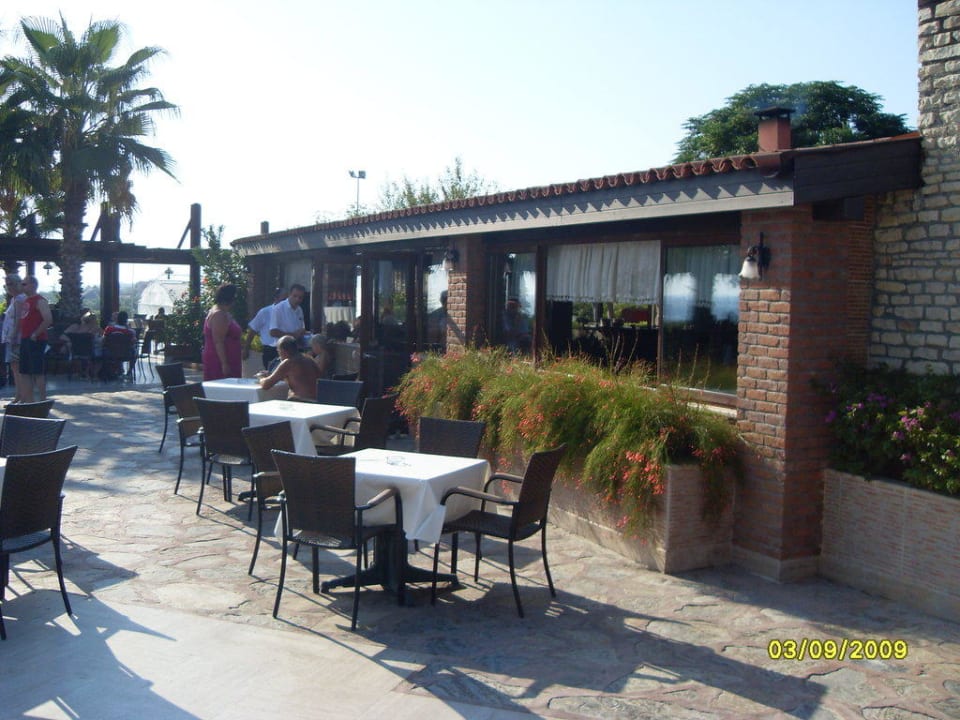 Poolbar Alba Resort Hotel