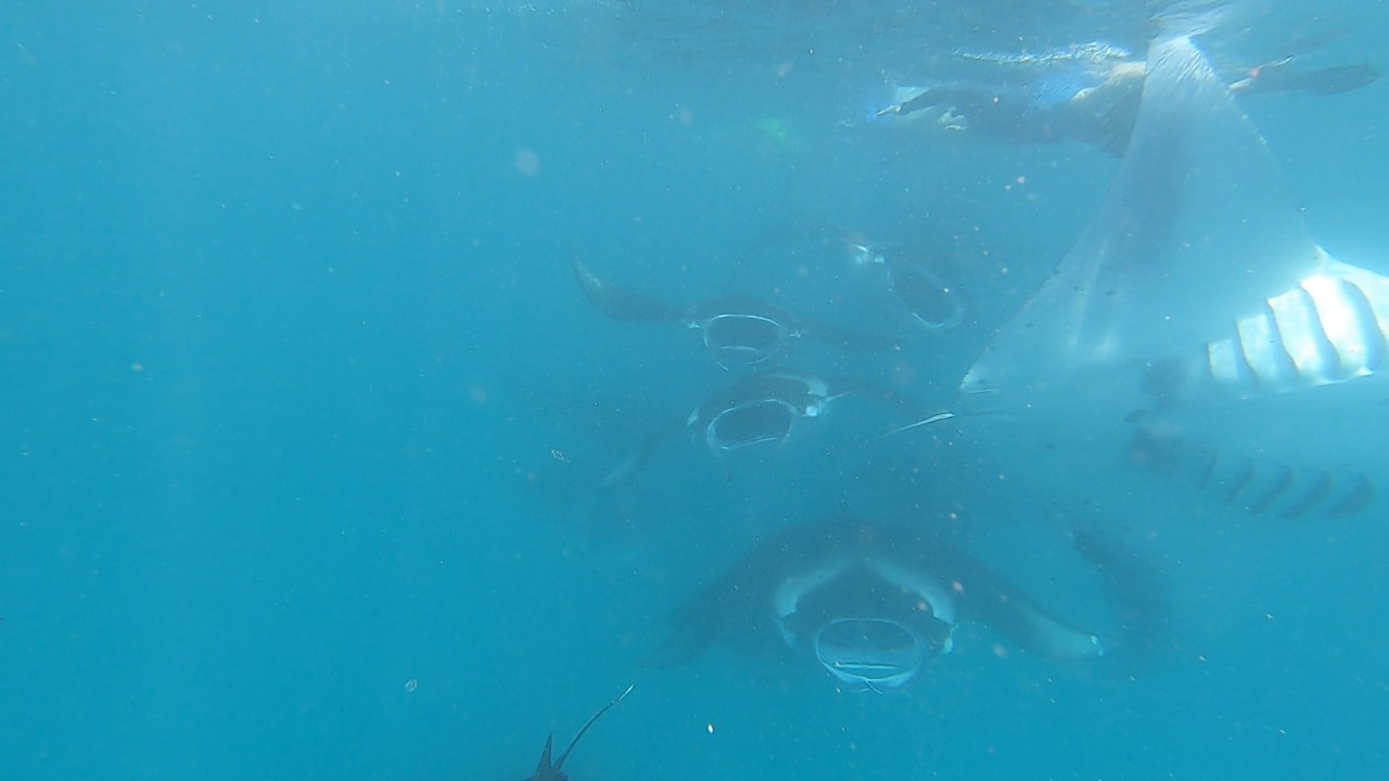 Sport & Freizeit NH Collection Maldives Reethi Resort