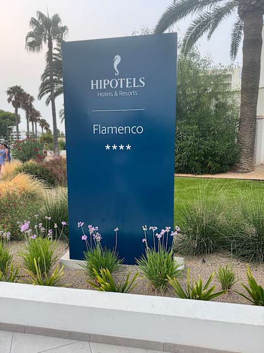 Außenansicht Hipotels Flamenco