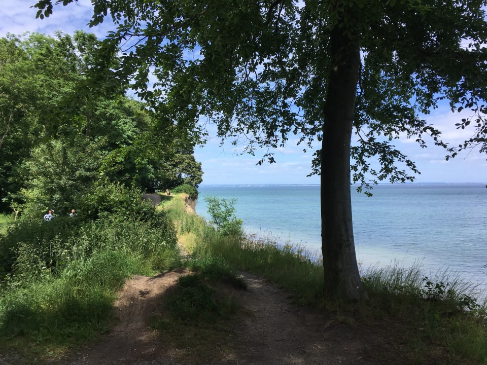 Ausblick A-ROSA Travemünde