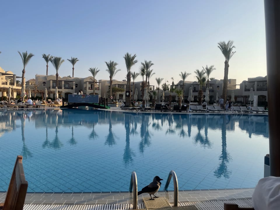 Pool Iberotel Makadi Beach