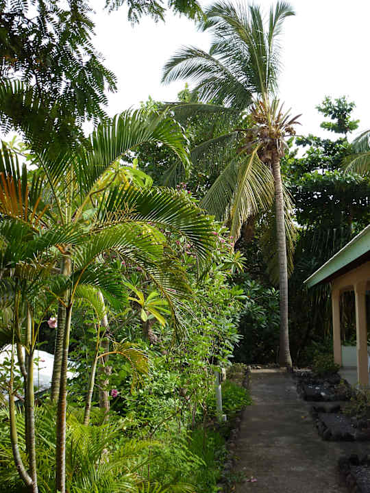 Der Weg vor den Bungalows Hotel Sunset Bay Club