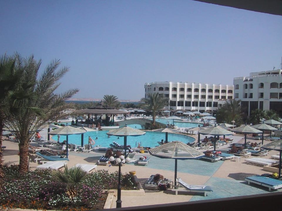 beach albatros Beach Albatros Resort