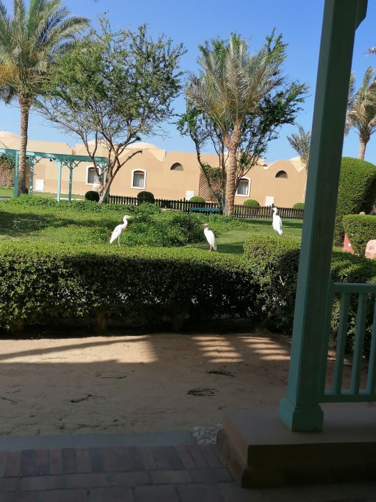 Gartenanlage Radisson Blu Resort, El Quseir