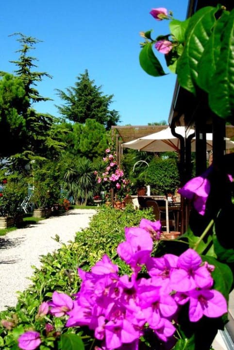 Hotel Du Lac Brenzone, Garten Du Lac Brenzone | relax attitude hotel