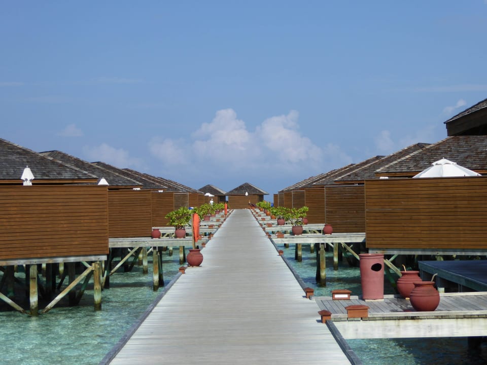 Steg zu den Wasserbungis Vilamendhoo Island Resort & Spa