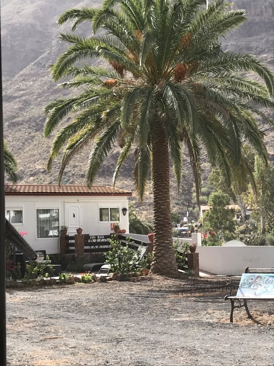 Ausblick Bio Finca - Las Tenerías