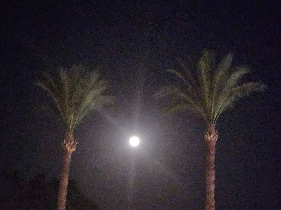 Ausblick Steigenberger Resort Ras Soma