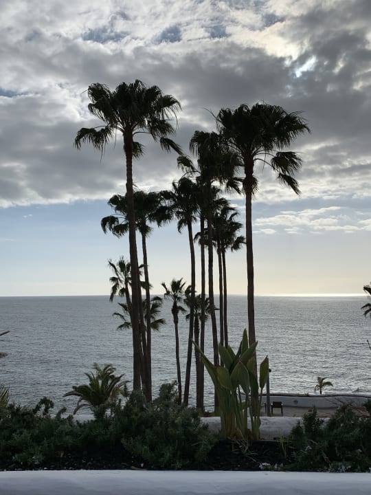 Ausblick Dreams Jardín Tropical