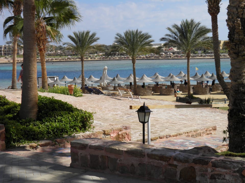 Strand 1 Steigenberger Coraya Beach - Adults only