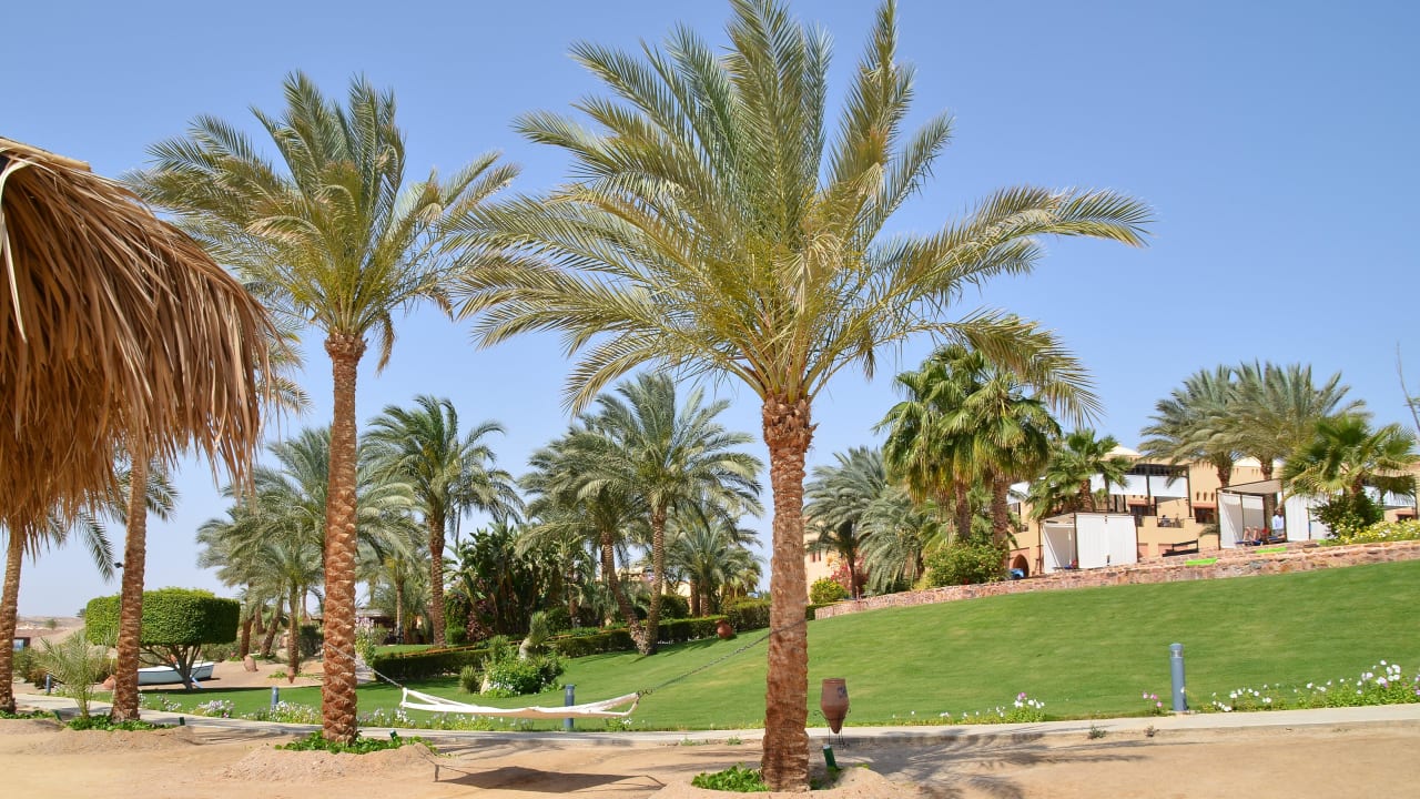 Einfach schön... Steigenberger Coraya Beach - Adults only