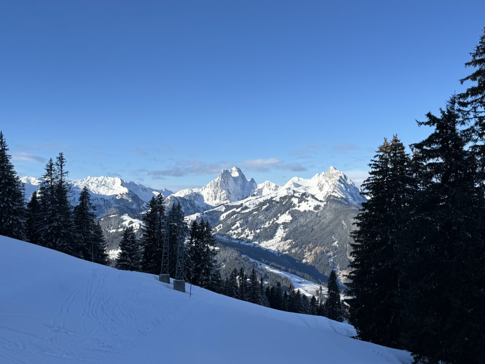Ausblick Ermitage Wellness- & Spa-Hotel