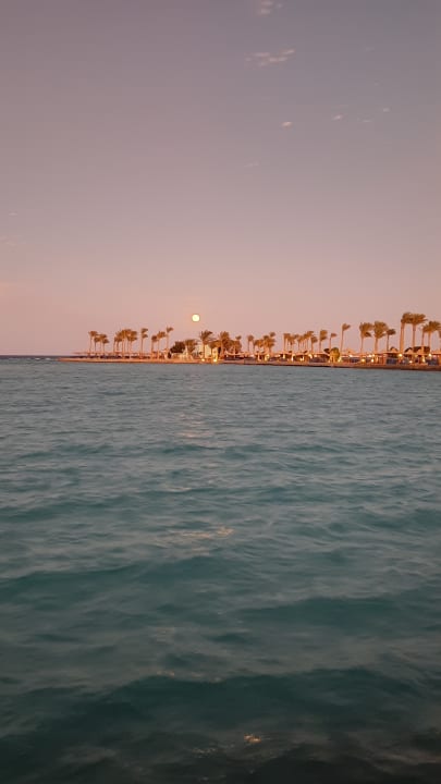 Ausblick Arabia Azur Resort