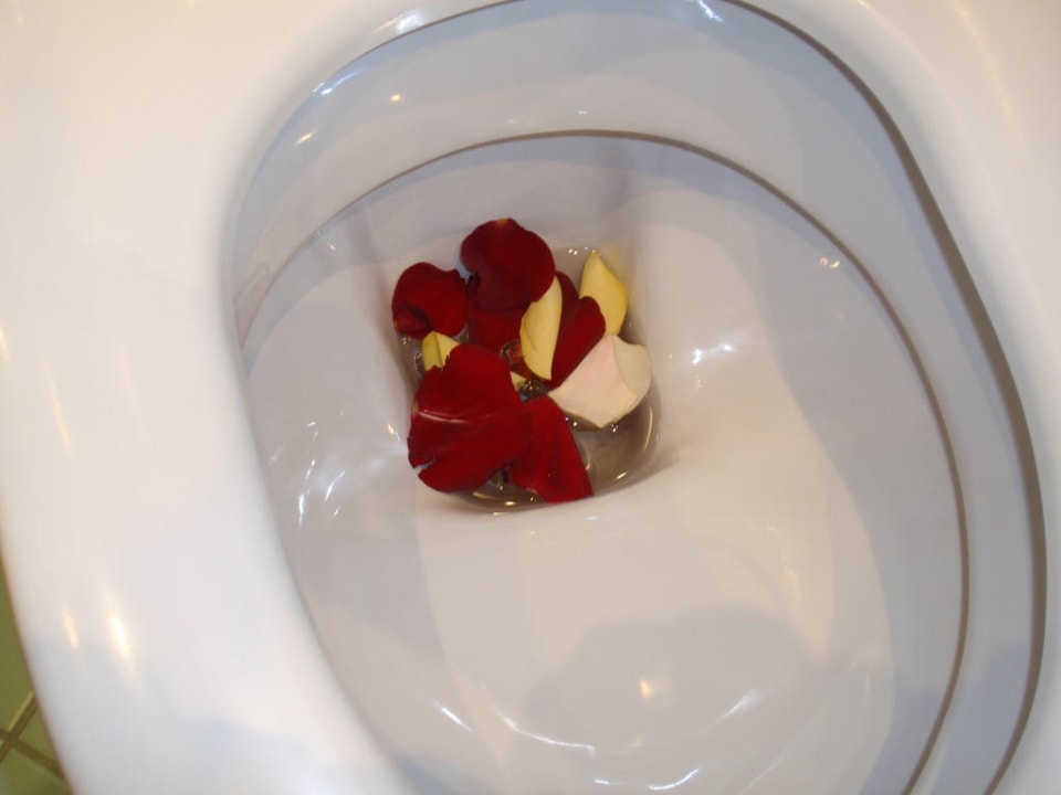 Rosenblätter im WC! Hotel Goritschnigg