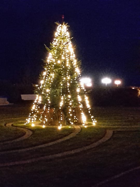 Gartenanlage A-ROSA Ostseehotel Kühlungsborn