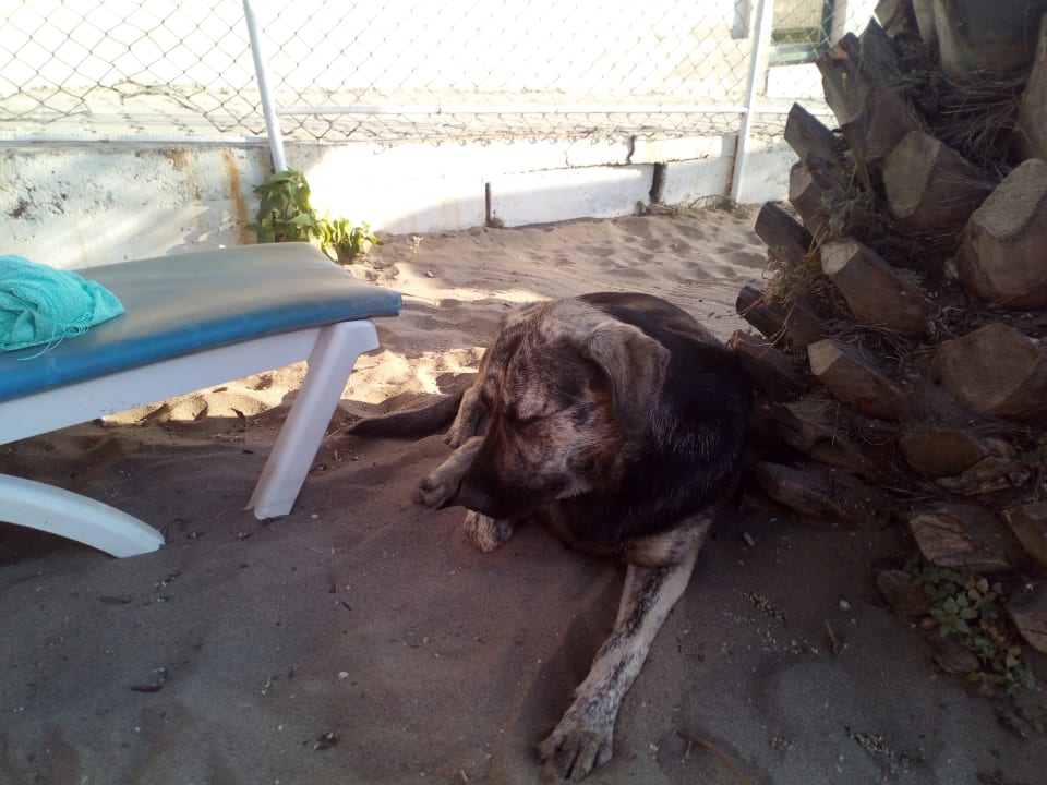 Strand Dogan Paradise Beach