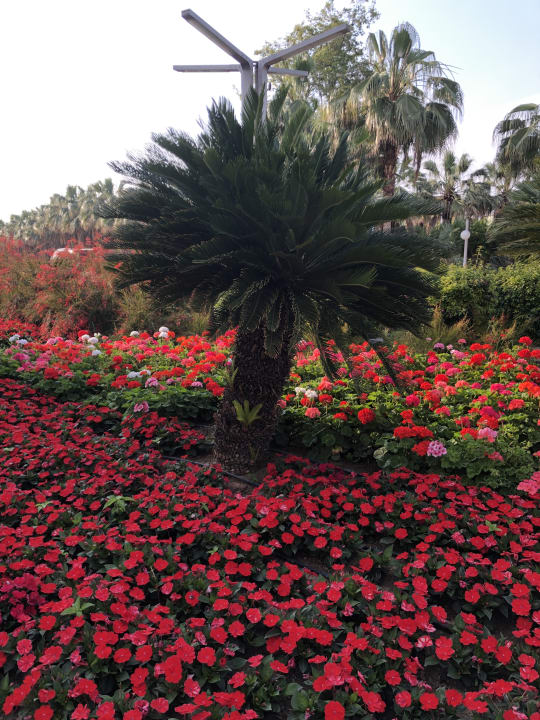 Gartenanlage VONRESORT Golden Coast