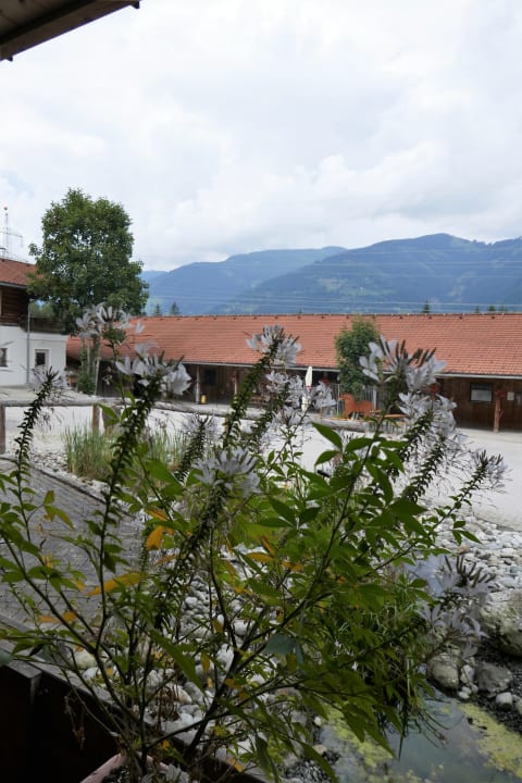 Ausblick Landgut Edelweiss