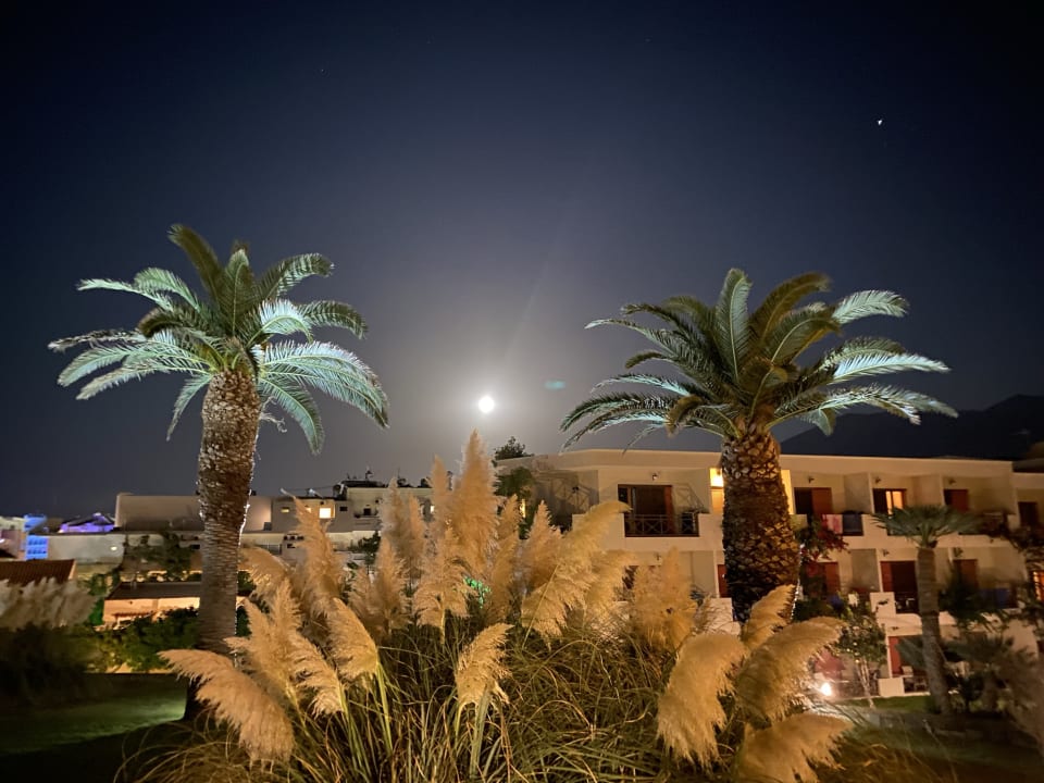 Gartenanlage allsun Hotel Malia Beach