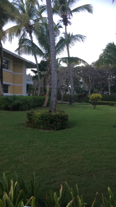 Gartenanlage Grand Palladium Select Bávaro Resort & Spa