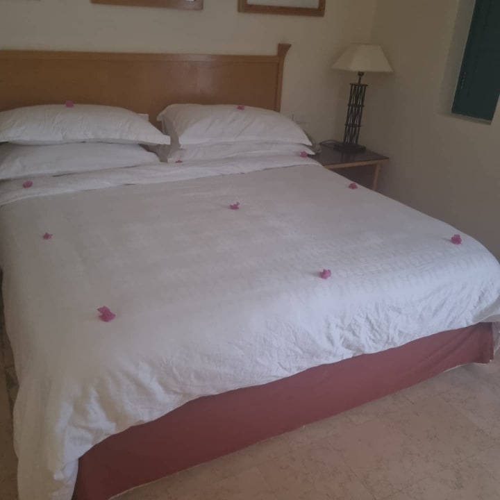 Zimmer Sheraton Miramar Resort El Gouna