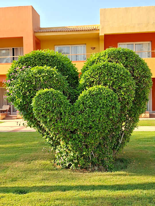 Außenansicht Malikia Resort Abu Dabbab