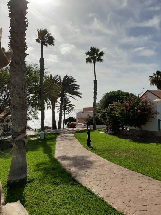 Gartenanlage Aldiana Club Fuerteventura