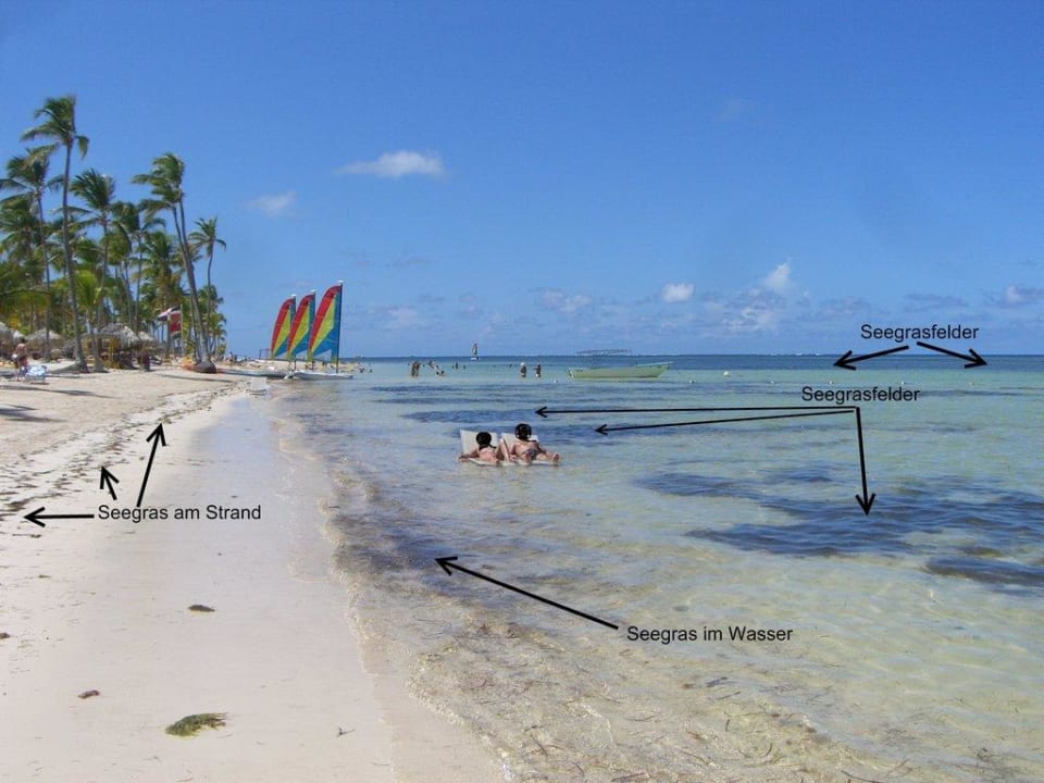 Seegras Catalonia Royal Bavaro - Adults only