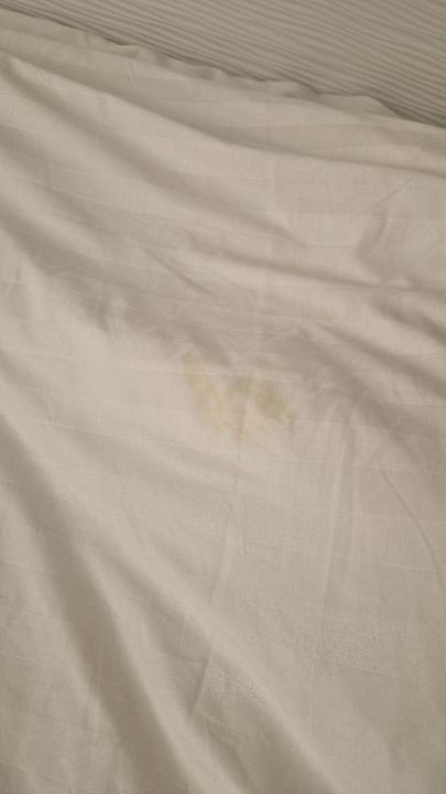 Zimmer Bull Dorado Beach & Spa