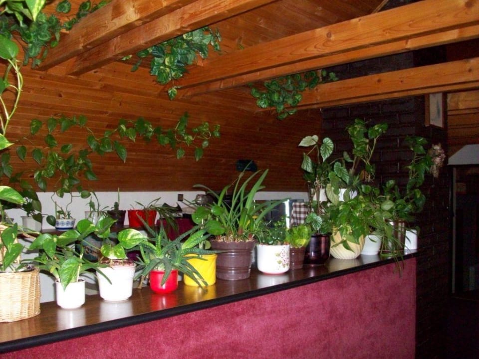 Sonstiges Hotel-Motiv Pension Kfely Mühle