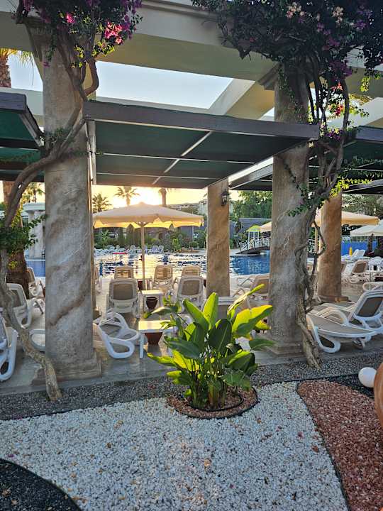 Pool TUI Magic Life Belek