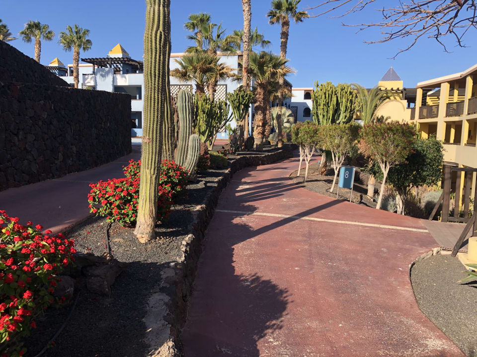 Gartenanlage Occidental Jandía Playa