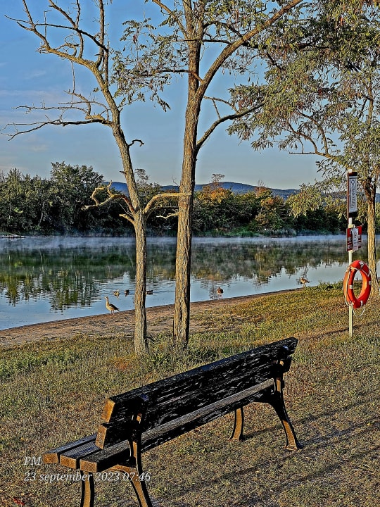 Außenansicht KNAUS Campingpark Bad Dürkheim