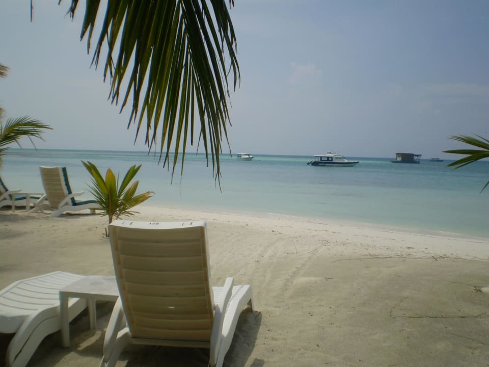 Blick von den Liegen (JBV 104) Meeru Maldives Resort Island