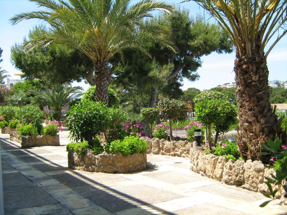 Geplegter kleiner Garten Hotel & Apartments Casablanca