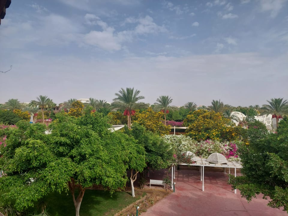 Ausblick Desert Rose