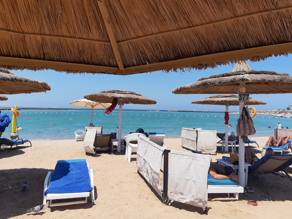 Strand Pickalbatros Dana Beach Resort - Hurghada